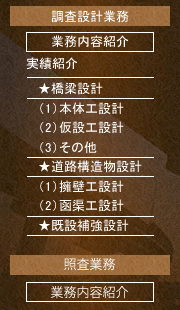 株式会社長野設計事務所,橋梁下部,道路構造物,擁壁工設計,函梁補強