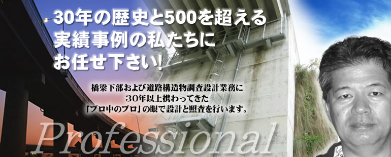 株式会社長野設計事務所,橋梁下部,道路構造物,擁壁工設計,函梁補強